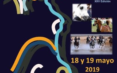 CCN1*- CCN90 – CCN80 – CCN60 – CCT40 y XV ARABES&CO y CAMPEONATO DE CANTABRIA