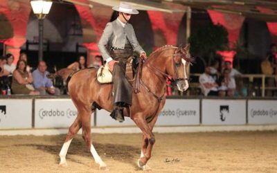 El Pura Raza Árabe vuelve a destacar en las PSCJ de Doma Vaquera