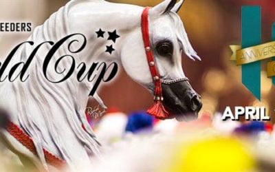 España en Arabians Breeders World Cup