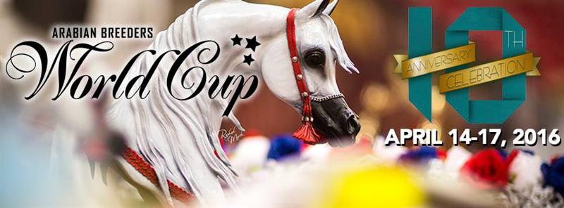 España en Arabians Breeders World Cup