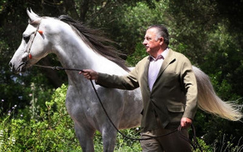 El ganadero y escultor Nicolás Domecq, Caballo de Oro 2014