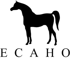 Acta ECAHO 2019