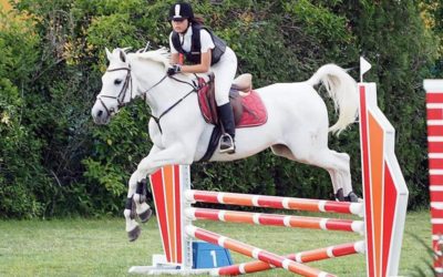 Ejemplar Pura Raza Árabe medalla de bronce en el Campeonato de España de CCE Ponis D