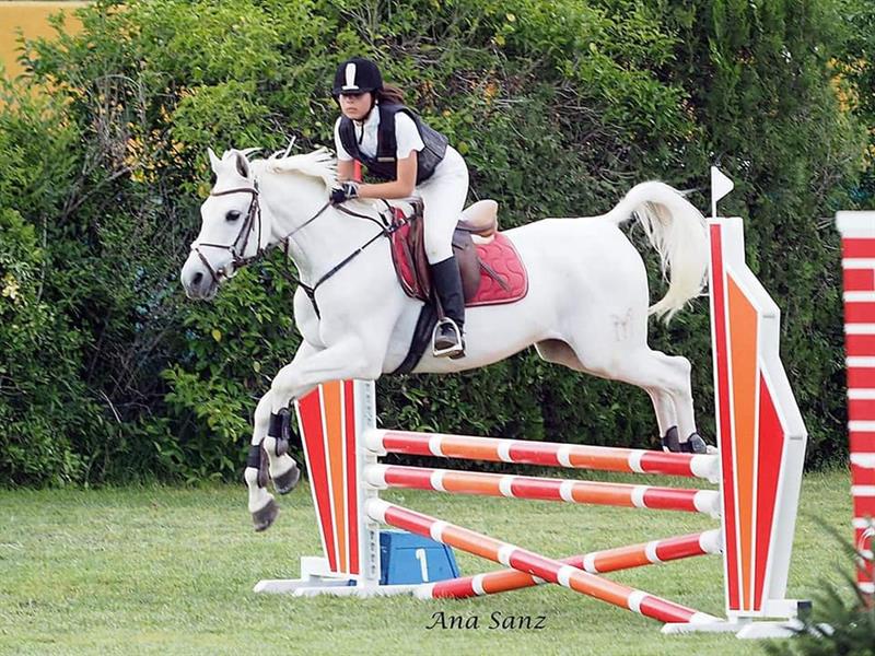 Ejemplar Pura Raza Árabe medalla de bronce en el Campeonato de España de CCE Ponis D