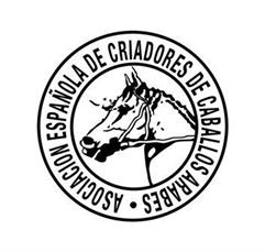 Proclamación de la nueva Junta Directiva de A.E.C.C.A