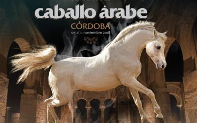 Semana del caballo árabe en Córdoba