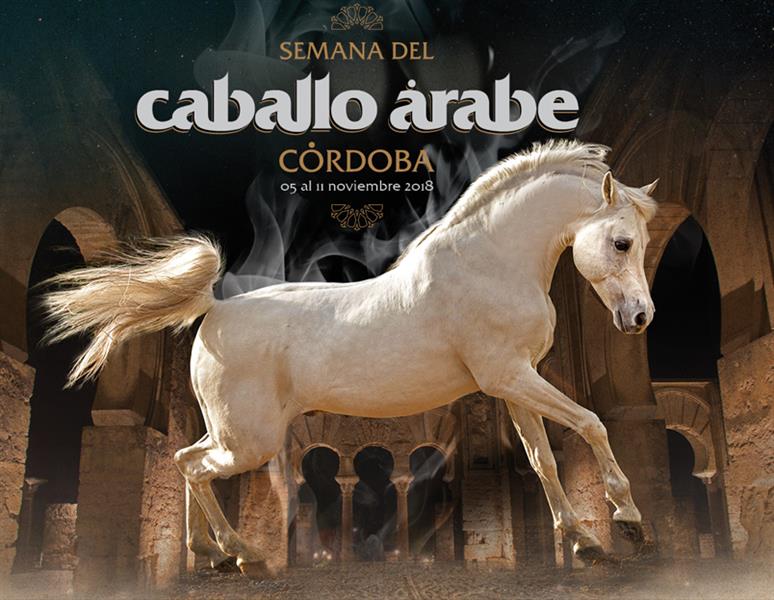 Semana del caballo árabe en Córdoba