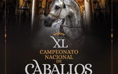 Listado de Hoteles y Restaurantes XL Campeonato de Caballos Árabes