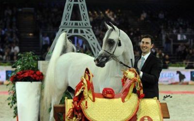 GRAN EXITO DEL CABALLO EXCALIBUR EA
