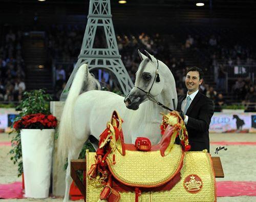 GRAN EXITO DEL CABALLO EXCALIBUR EA