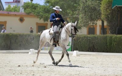 Yegua Pura Raza Árabe gana las Pruebas de Selección de Caballos Jóvenes de Doma Vaquera