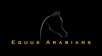 Jornada de puertas abiertas & Subasta especial EQUUS ARABIANS