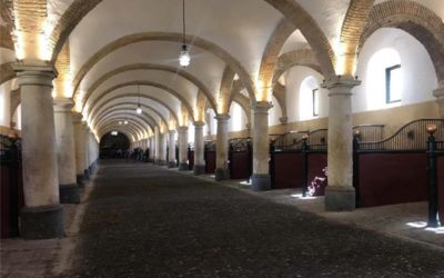 Visita a Córdoba de la Asociación de Criadores de Caballos Árabes