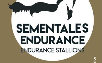 Sementales Endurance ACCCE