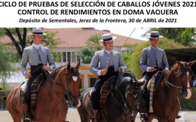 Pruebas de Selección de Caballos Jóvenes Doma Vaquera