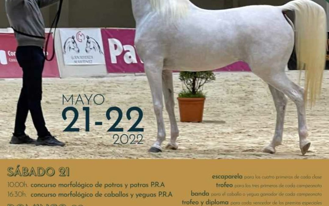 V Concurso Morfológico de Caballos Árabes EQUIGAL