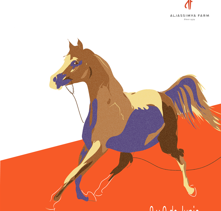 VII Galician Championship