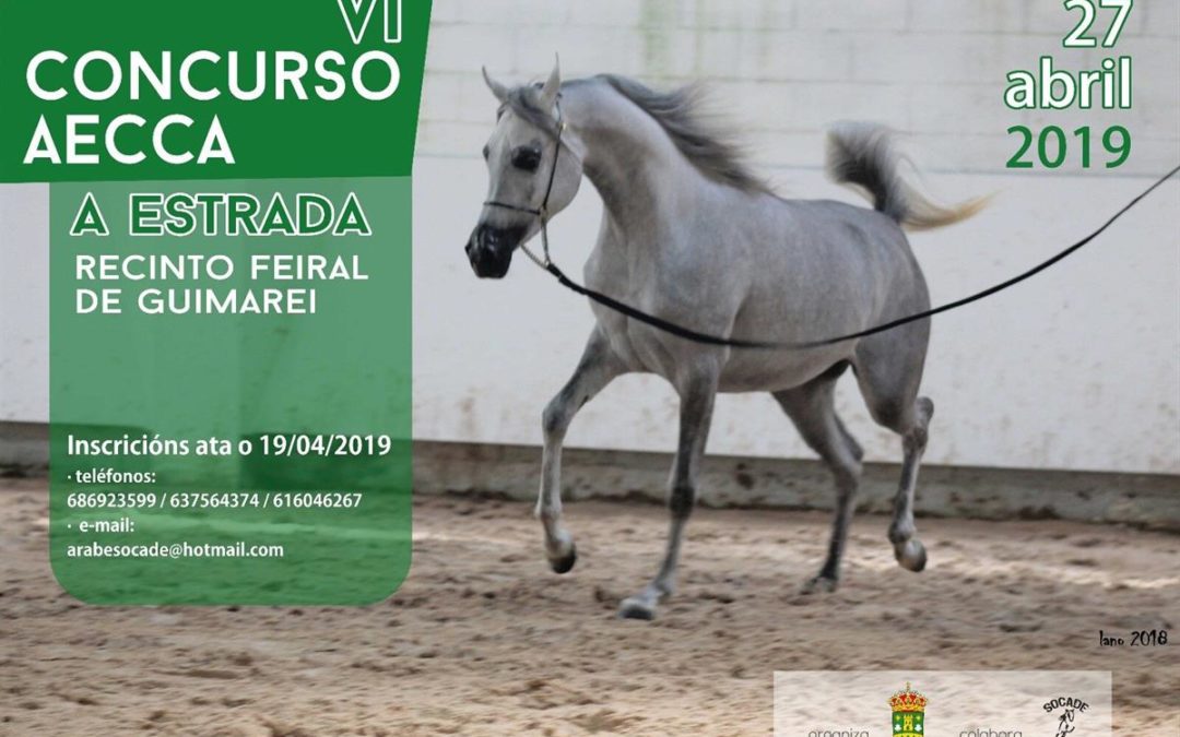 VI Concurso AECCA Concello da Estrada