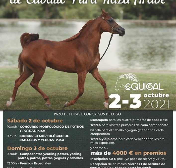 IV Concurso Morfológico de Caballos Árabes EQUIGAL