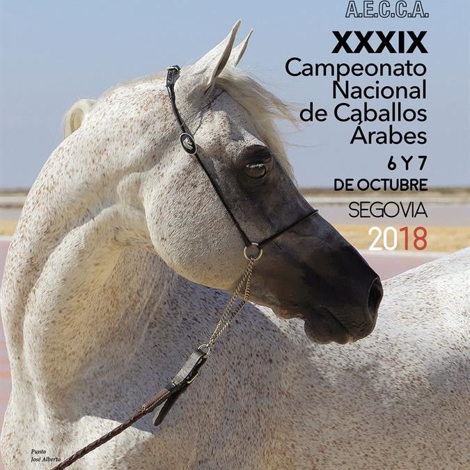 XXXIX CAMPEONATO NACIONAL DE CABALLOS ÁRABES