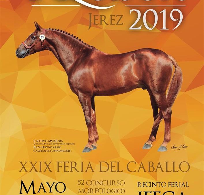 FERIA DEL CABALLO DE JEREZ 2019