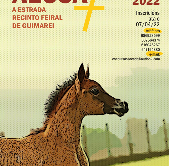 VII Concurso AECCA Concello de Estrada