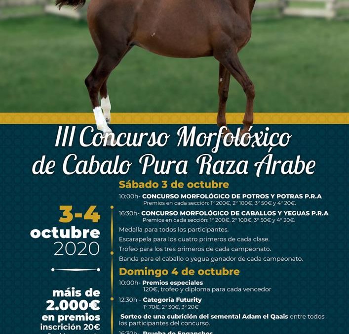 III Concurso Morfológico de Caballos Árabes EQUIGAL