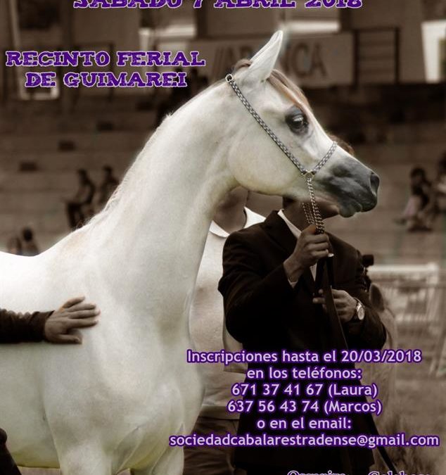 V Concurso ABCCA CONCELLO A ESTRADA