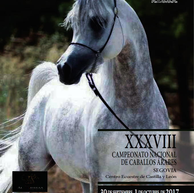XXXVIII Campeonato Nacional de Caballos Árabes