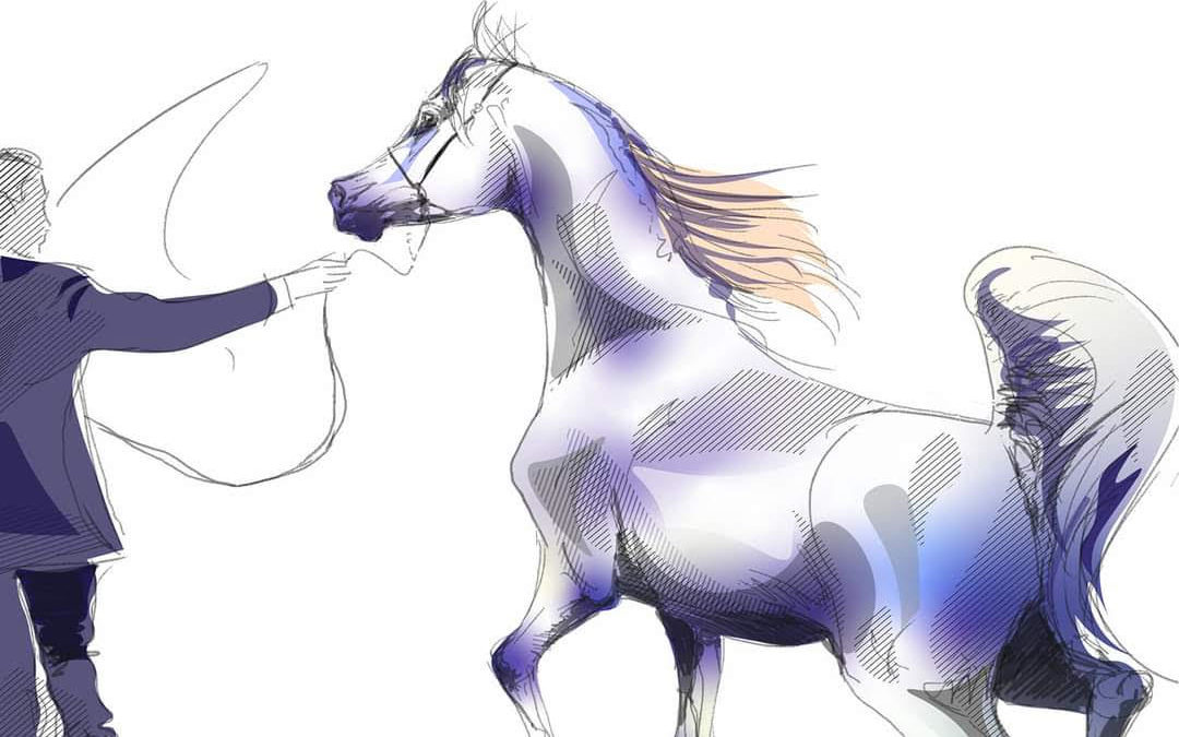 IX GALICIAN CHAMPIONSHIP