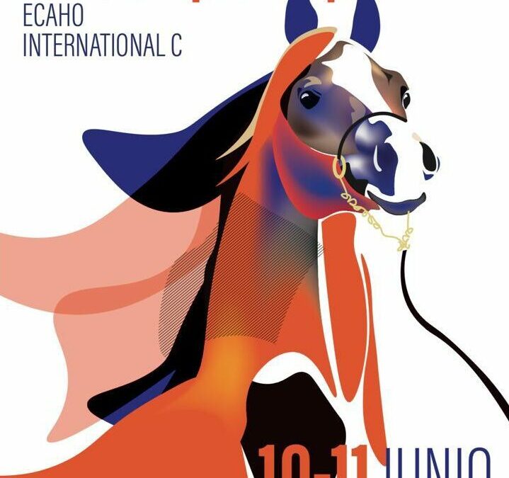 GALICIAN CHAMPIONSHIP X