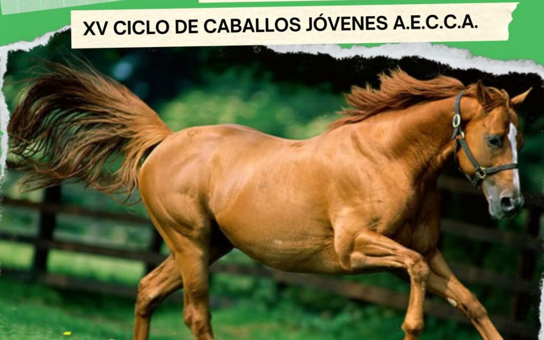 VII Raid de Sant Bartomeu del Grau