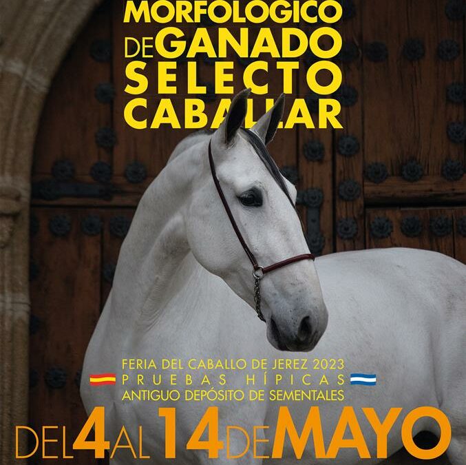 FERIA DEL CABALLO DE JEREZ 2023