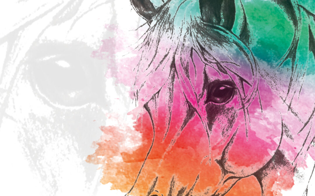 FONTETA ARABIAR HORSE SHOW