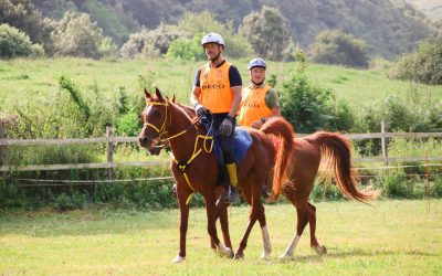 En 2023 se realizó El Ciclo de Caballos Jóvenes de raid con más participación de la historia.