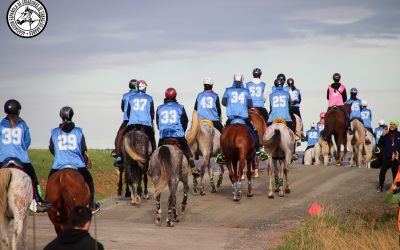 ¿Quieres que tu Prueba forme parte del XVII Ciclo de Caballos Jóvenes de Raid?
