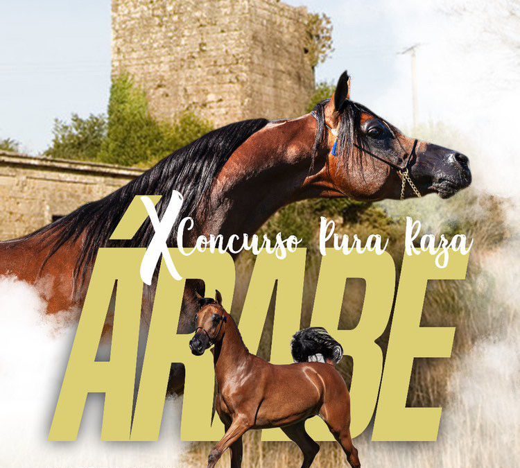 X CONCURSO AECCA CONCELLO DE ESTRADA