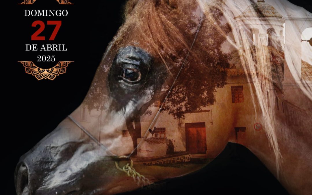 IV CONCURSO CRIADORES CABALLOS ARABES
