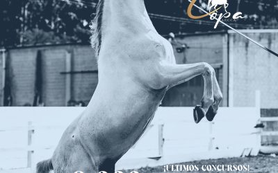 RANKING PROVISIONAL CABALLOS COPA AECCA 09.07.2025