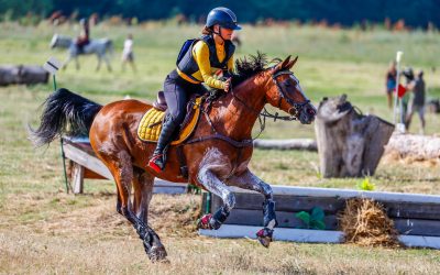 The Kerry Rose y Ginebra Cabral Gómez, subcampeonas de España en la categoría de Ponis D en el XXXVII Campeonato de España de CCE
