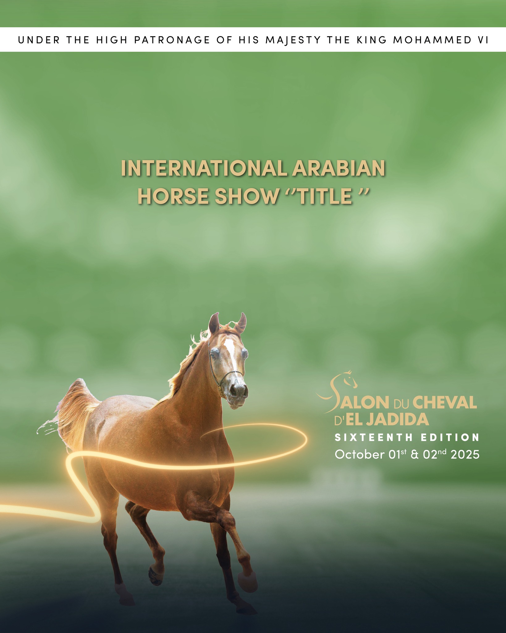 ¡Representa a España en El Jadida International Arabian Horse Title Show! 