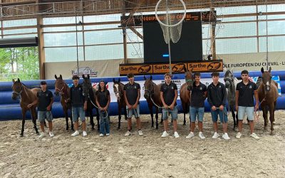 Tres caballos Pura Raza Árabe conducen a España al oro europeo Sub‑16 de Horseball.