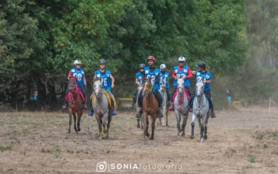 Calendario del Ciclo de Caballos Jóvenes de Raid 2026