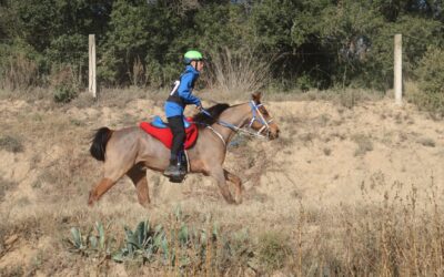 𝐃𝐞𝐬𝐝𝐞 𝐥𝐚 𝐜𝐫𝐢́𝐚 𝐚 𝐥𝐚 𝐯𝐢𝐜𝐭𝐨𝐫𝐢𝐚: Siglo Siro y Silas Barreira García, Campeones de España Junior.