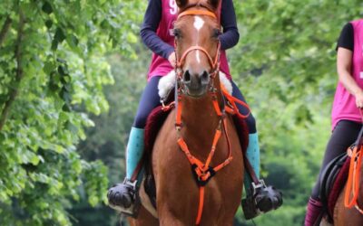 La cría en ESPAÑA se encuentra muy presente en las últimas carreras de resistencia celebradas en Al Wathba y Al Ula.