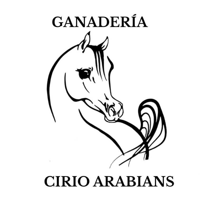 5222ee4d-919d-4275-8dd6-f9b1dcf4a242