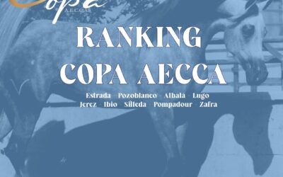 PENÚLTIMO RANKING DE LA II COPA AECCA